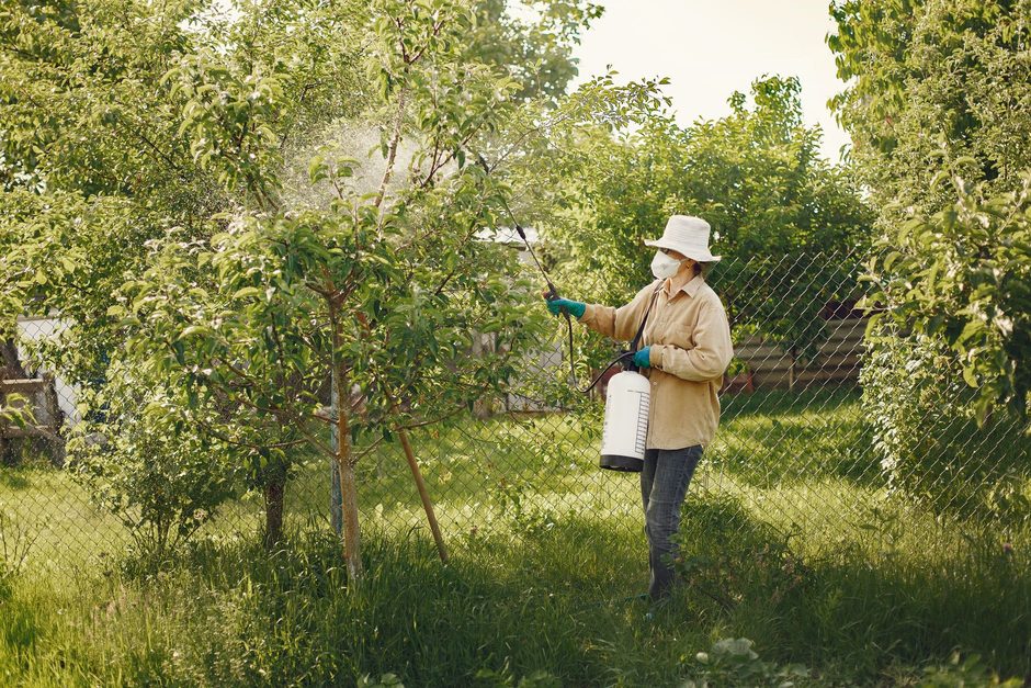 Pest control technician at work